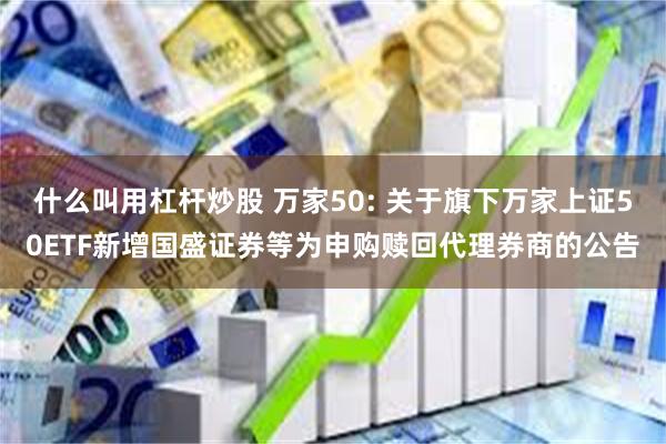 什么叫用杠杆炒股 万家50: 关于旗下万家上证50ETF新增国盛证券等为申购赎回代理券商的公告