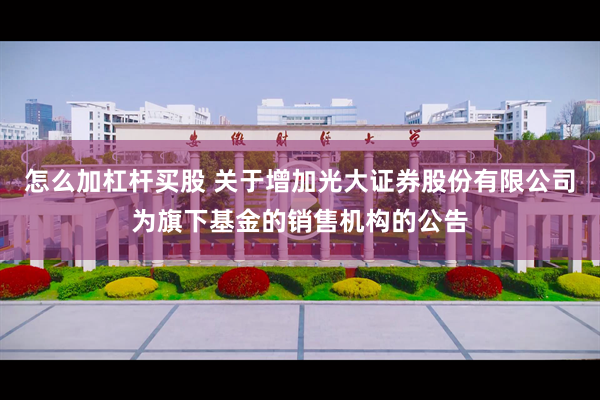 怎么加杠杆买股 关于增加光大证券股份有限公司为旗下基金的销售机构的公告