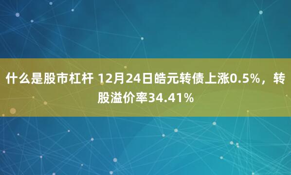 什么是股市杠杆 12月24日皓元转债上涨0.5%，转股溢价率34.41%