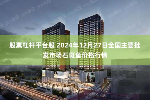 股票杠杆平台股 2024年12月27日全国主要批发市场石斑鱼价格行情