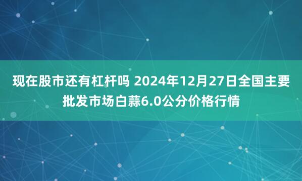 现在股市还有杠杆吗 2024年12月27日全国主要批发市场白蒜6.0公分价格行情