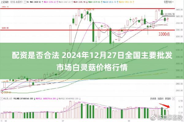 配资是否合法 2024年12月27日全国主要批发市场白灵菇价格行情