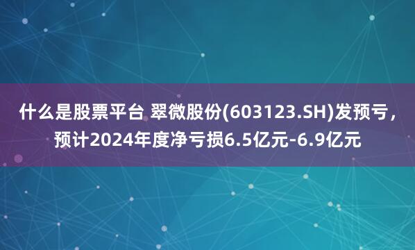 什么是股票平台 翠微股份(603123.SH)发预亏，预计2024年度净亏损6.5亿元-6.9亿元