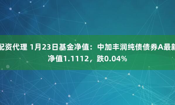 配资代理 1月23日基金净值：中加丰润纯债债券A最新净值1.1112，跌0.04%