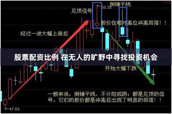 股票配资比例 在无人的旷野中寻找投资机会