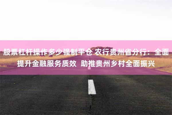 股票杠杆操作多少强制平仓 农行贵州省分行：全面提升金融服务质效  助推贵州乡村全面振兴