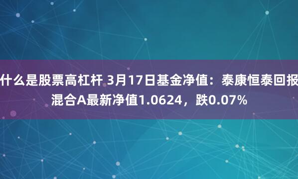 什么是股票高杠杆 3月17日基金净值：泰康恒泰回报混合A最新净值1.0624，跌0.07%